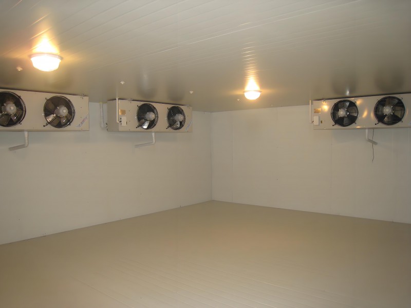 0f080899-70db-4a5a-aa1b-f2693cff7f65